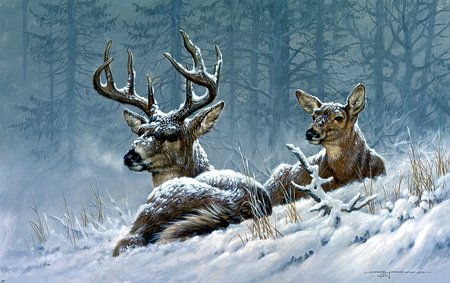 BEDDED DOWN-WHITETAIL DEER Paper Artist Proof - FANNING: BEDDED DOWN-WHITETAIL DEER Paper Artist Proof - FANNING LARRY Print Size10 x 16 Edition Size:76
