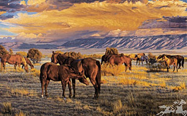 Quiet Time by Tim Cox: Quiet Time by Tim Cox - Edition Size: 950 - Canvas - Signed & Numbered Dimensions: 15.5 x 25 Release Date: 3-2006 ……….As a young child, Tim Cox vowed he “was going to be a cowboy artist” whe
