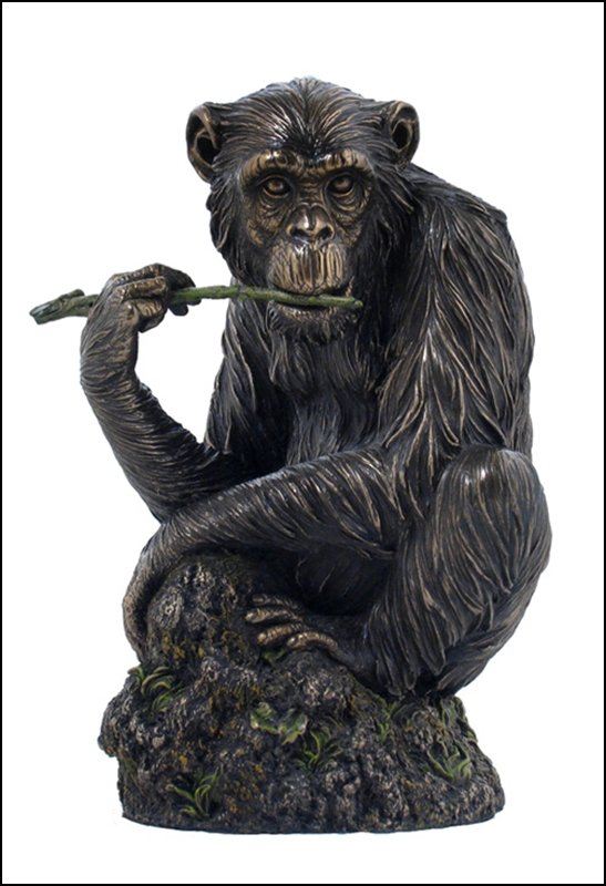 CHIMPANZEE CHEWING BRANCH - COLD-CAST BRONZE: Chimpanzee Chewing Branch - Material - COLD-CAST BRONZE - Size - 7 1/8