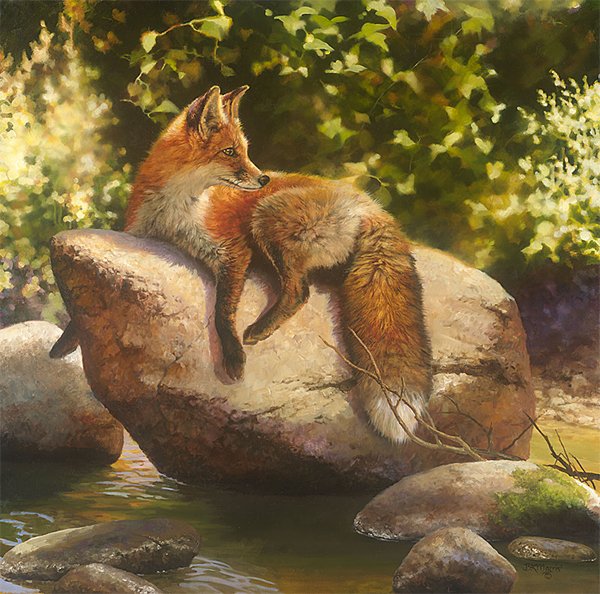 BONNIE MARRIS - HIS FAVORITE SPOT: Bonnie Marris - His Favorite Spot - Hand Signed - Limited Edition Canvas - Image Size: 20"w X 20"h. Limited Edition Of: 75 - The Fox’s Physical Brilliance Is Matched Only By The Brilliance Of His Mi
