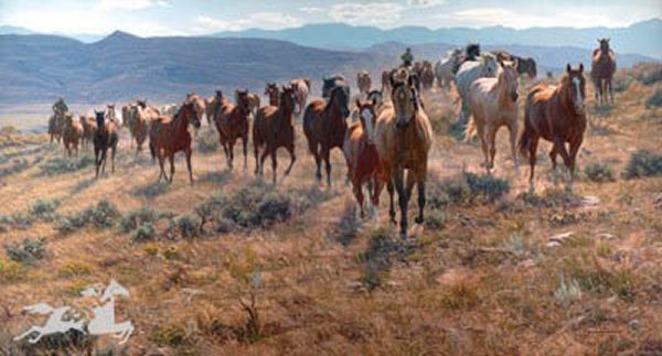 Cow Horse Country by Tim Cox: Cow Horse Country by Tim Cox - Edition Size: 250 - Canvas - Signed & Numbered Dimensions: 20 x 38 Release Date: 9-2005 ……….As a young child, Tim Cox vowed he “was going to be a cowboy artist��