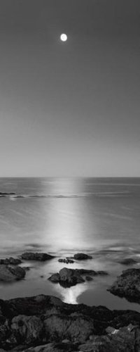 STEPHEN RUTHERFORD-BATE - FULL MOON SEA: Stephen Rutherford-bate - Full Moon Sea - 20 X 50 In. - Giclée Print - Gallery Stretched - Ready to hang.