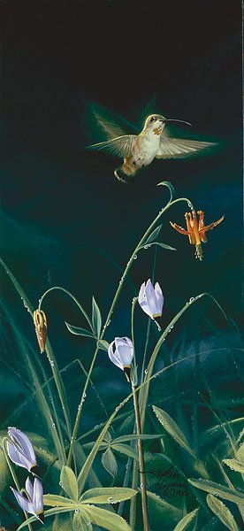 STEPHEN LYMAN - MORNING DEW: Stephen Lyman - Morning Dew - Hand Signed - Canvas - Edition Image Size: 6"w X 13"h. Limited Edition Of: 100 - This Hummingbird Hovers Over His Next Meal - Nectar From These Dew-covered Flowers.
