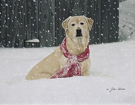 JOHN WEISS - COLD NOSE WARM HEART: John Weiss - Cold Nose Warm Heart - Hand Signed - Limited Edition Print - Image Size: 16"w X 12 1/2"h. Limited Edition Of: 950 - Nothing Warms The Heart Like Watching A Dog Romp In The Snow. This Imag