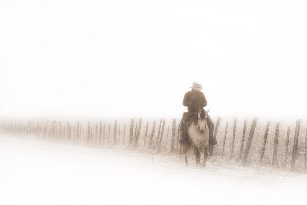 Riding Fence by Robert Dawson: Riding Fence by Robert Dawson -- Giclee on Canvas, Open Edition Dimensions: 10 x 15 Edition Size: Open