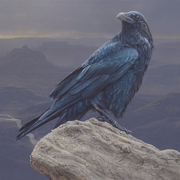 Daniel Smith - Canyon Vista: Daniel Smith - Canyon Vista - Hand Signed - Canvas - Edition Image Size: 10"w X 10"h. Limited Edition Of: 75 - The Raven Is One Of The Principle Birds Of The Grand Canyon, Known For Its Lofty Aerial A