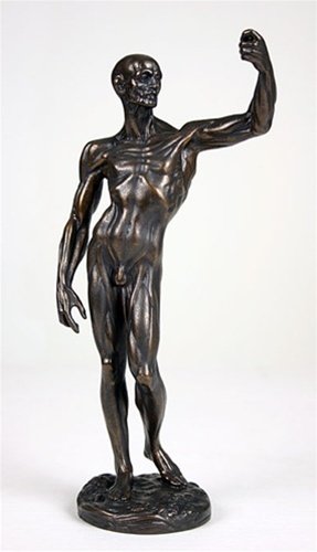 ANATOMICAL STUDY OF FLAYED MALE L'ECORCHE BY HOUDON: Anatomical Study Of Flayed Male L'ecorche By Houdon - Size: 10"h X 4.5"w X 2.75"d Item Type: Houdon Statue Material: Resin - Bronze Patina Weight (lbs): 1 - - Anatomical Study (houdon's Studio, Late 1