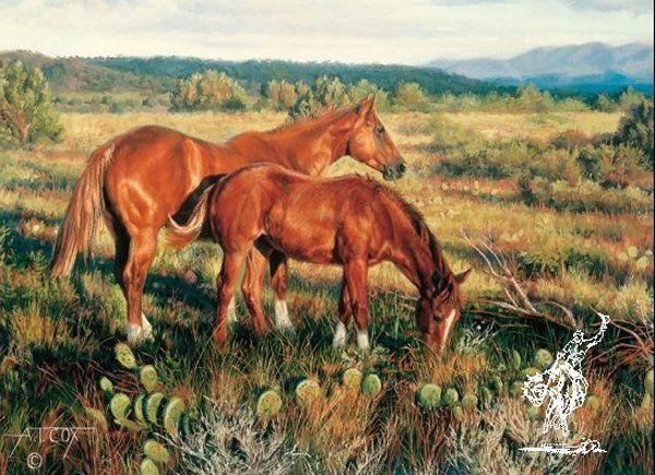 Sorrels in the Sun by Tim Cox: Sorrels in the Sun by Tim Cox -- Print - Open Edition Dimensions: 12 x 16 Edition Size: Open