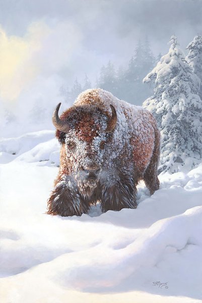 Bonnie Marris - Heavy Drifting: Bonnie Marris - Heavy Drifting - Hand Signed - Limited Edition Canvas - Image Size: 12"w X 17"h. Limited Edition Of: 100 - The American Buffalo Is A Huge Animal. As Adults, The Males Are Over Five Fee