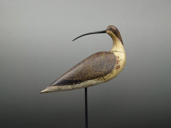 Gelston Whimbrel by Robert Shaw: Gelston Whimbrel by Robert Shaw -- Digital Open Paper Dimensions: 12 x 16 Edition Size: Open