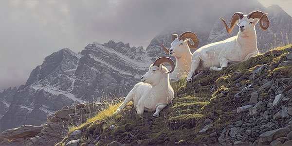 Daniel Smith - Summit Sanctuary: Daniel Smith - Summit Sanctuary - Hand Signed - Limited Edition Canvas - Image Size: 34"w X 17"h. Limited Edition Of: 75 - Collectors Of Daniel Smith’s Fine Art Editions Are Already Familiar With Hi
