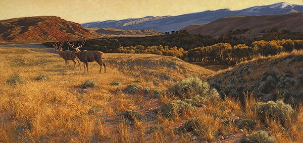 Greg Beecham - Step Into The Light: Greg Beecham - Step Into The Light - Hand Signed - Limited Edition Print - Image Size: 33"w X 16"h. Limited Edition Of: 550 - Against A Breathtaking, Panoramic View, Two Majestic Mule Deer "step Into