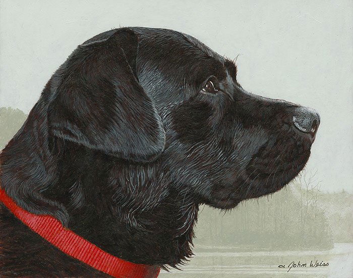 John Weiss - The Fogs Risin: John Weiss - The Fogs Risin - Open Edition Canvas Image Size: 14"w X 11"h. - John Weiss’ Paintings Of Dogs Have An Avid And Loyal Following. His Popular, Long-standing Annual Wall Calendar “love O