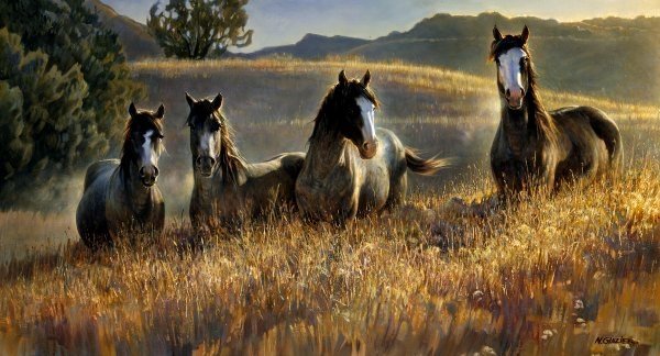Amazing Grays III by Nancy Glazier: Amazing Grays III by Nancy Glazier -- Giclee on Canvas, Open Edition Dimensions: 9.25 x 17 Edition Size: Open