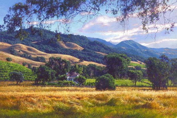 June Carey - September Gold: June Carey - September Gold - Hand Signed - Limited Edition Canvas - Image Size: 36"w X 24"h. Limited Edition Of: 100 - “the Locals Say We Have Two Seasons In California: Green And Gold,” Says Art