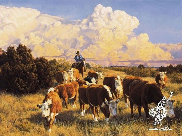 At His Own Pace by Tim Cox: At His Own Pace by Tim Cox -- Print - Signed & Numbered Dimensions: 18 x 24 Edition Size: 950