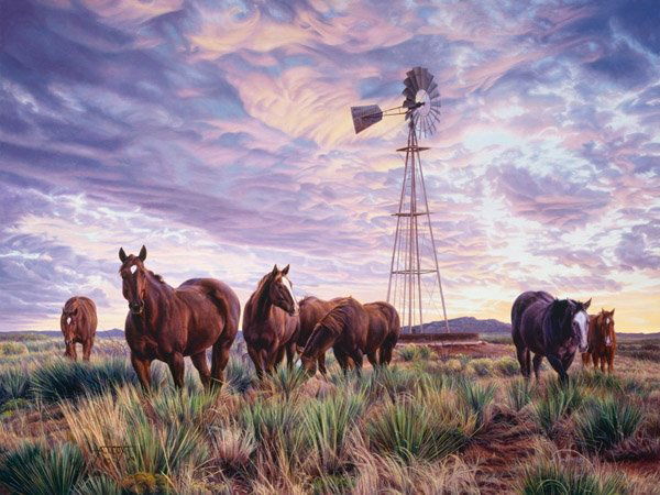 At the End of the Day by Tim Cox: At the End of the Day by Tim Cox -- Giclee on Canvas - Signed & Numbered Dimensions: 24 x 32 Edition Size: 150