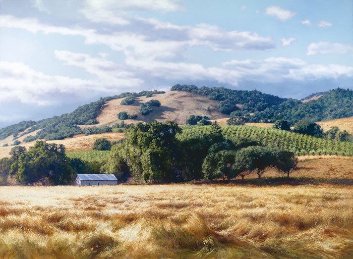 June Carey - California Wine Country: June Carey - California Wine Country - Hand Signed - Canvas Edition -Image size: 45"w x 33"h. Limited Edition of: 25 - The character and soul of California begins with the land, an expansive, diverse