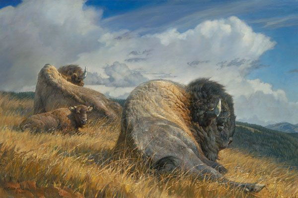 Nancy Glazier - High Ground (1 of 1)