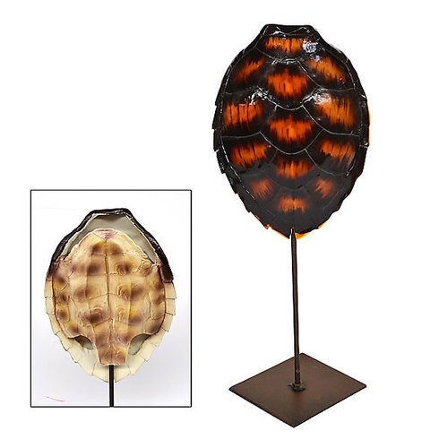 Turtle Shell On Stand (1 of 1)