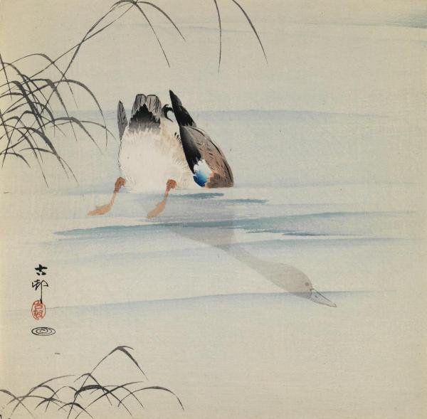 Ohara Koson (shoson) - Diving Mallard, Ca. 1910: Ohara Koson (shoson) - Diving Mallard, Ca. 1910
