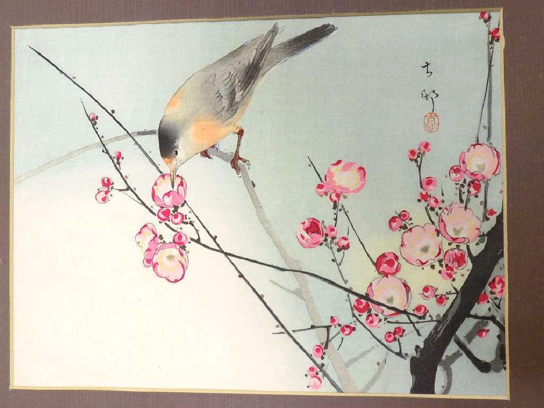 KOSON - JAPANESE BIRD MIXED MEDIA WATERCOLOR: KOSON - Antique Japanese mixed media watercolor on paper entitled Nightingale. J. Millet & Co, Boston. 14" x 17" matted.