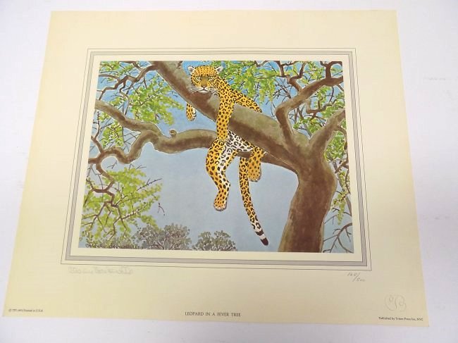 CHARLES BASKERVILLE - SIGNED LEOPARD LITHOGRAPH: Charles Baskerville 20th Century American 1896-1994 - African Animals Leopard In A Fever Tree Limited Edition Lithograph Artist Signed & Numbered with Artist Monogram Embossed Remark. 15.50" x 18.50"