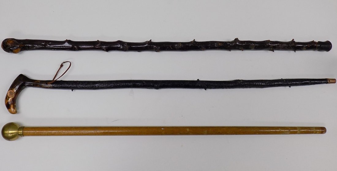 GROUP OF 3 UNUSUAL WALKING STICKS (1 of 3)