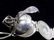 STERLING SILVER SIGNED TR MECHANICAL SNAKE LOCKET - 3
