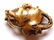 EARLY EB SIGNED FLORAL 14K BROOCH PIN