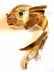 VINTAGE DOLPHIN GOLD PLATED COSTUME BROOCH