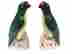 item-80143542=2