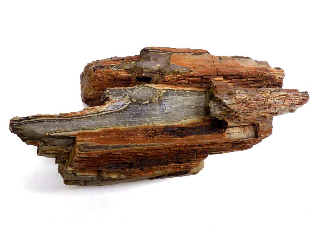 ANCIENT PETRIFIED WOOD STONE LOG: Ancient Petrified Wood Stone Log. 5" X 13.50"