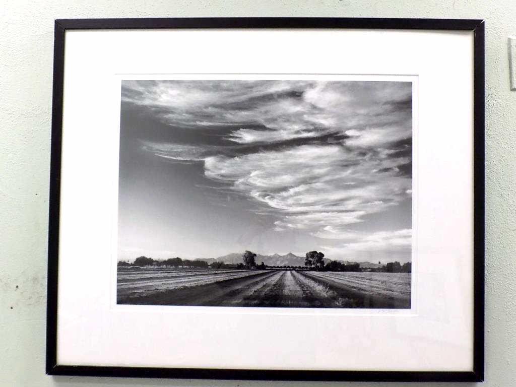 JODY FORSTER - BIG SOUTHWESTERN SIGNED PHOTOGRAPH (1 of 4)