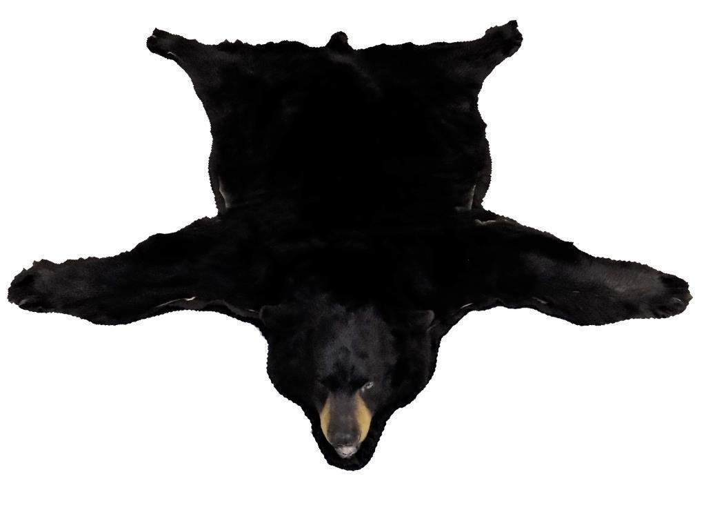 GREAT BLACK BEAR TAXIDERMY RUG / TROPHY HANGING (1 of 6)