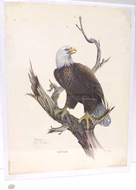 MOELLER - AMERICAN EAGLE SIGNED LITHOGRAPH (1 of 3)