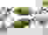 item-96140156=5