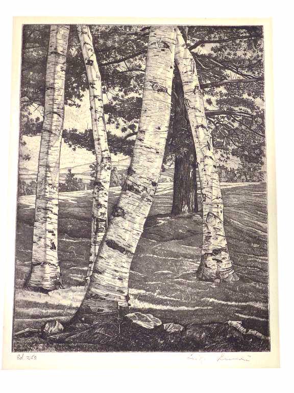 LUIGI LUCIONI - BIRCH TREES SIGNED AAA ETCHING: Luigi Lucioni - American New York / New Jersey / Vermont 1900-1988 - Birches and Beyond Etching done for the AAA Associated American Artists Signed and Numbered by the Artist. Sheet 11" x 16". With C.