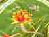 item-120407248=2