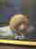 item-128896456=3