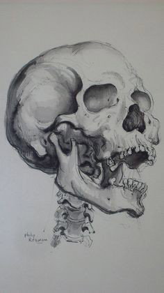 PHILIP REISMAN ANATOMICAL SKULL WATERCOLOR: Philip Reisman American 1904-1992. Anatomical Skull. Watercolor Brush & Ink On Paper. Signed Lower Left. H 15"" x W 11"" sight size.
