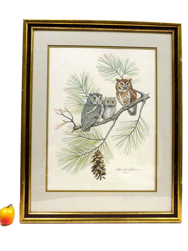 ALBERT GILBERT - SCREECH OWL SIGNED LITHOGRAPH (1 of 5)