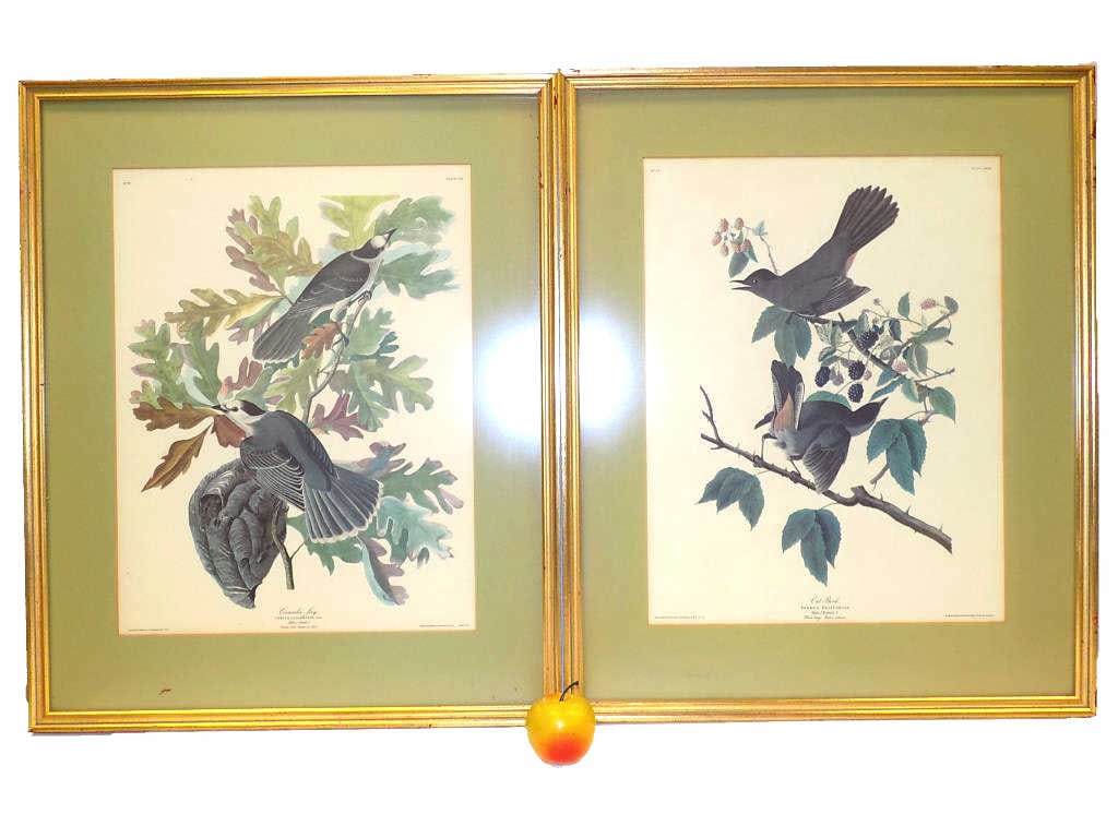 PAIR GILT FRAMED AUDUBON BIRD PRINTS (1 of 6)