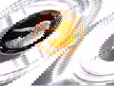 AMERICAN MINT LUDWIG BEETHOVEN 585 SOLID GOLD COIN