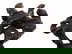 item-210482913=9