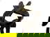 item-210482916=3