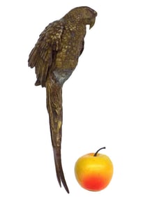 AUSTRIAN BRONZE PERCHED PARROT SCULPTURE