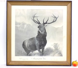 EDWIN LANDSEER MONARCH OF THE GLEN ELK ENGRAVING