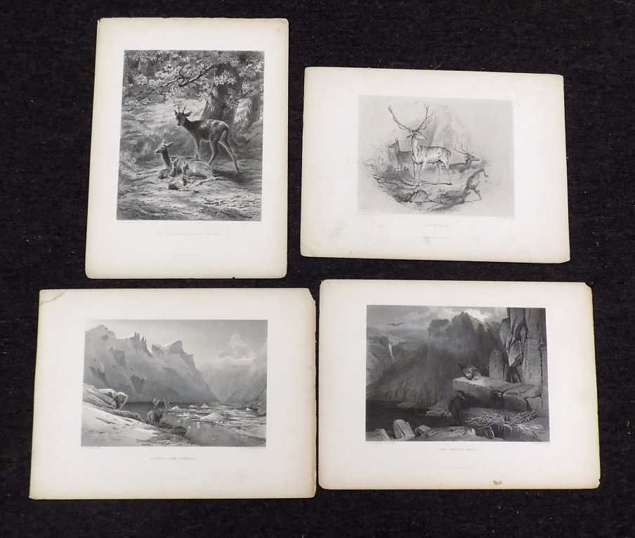 1800'S NATURE SCENE ENGRAVINGS BONHEUR LANDSEER (1 of 5)
