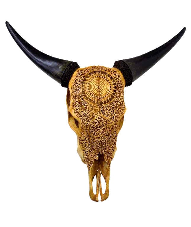 GREAT OLD WESTERN SCROLL CARVED COW SKULL (1 of 7)